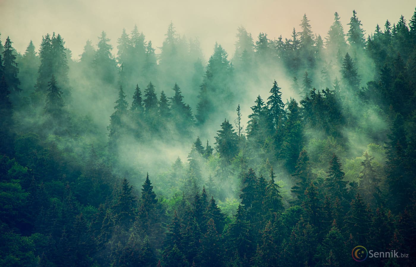 Türk Mitolojisi Slotları: Armabahis ile Macera